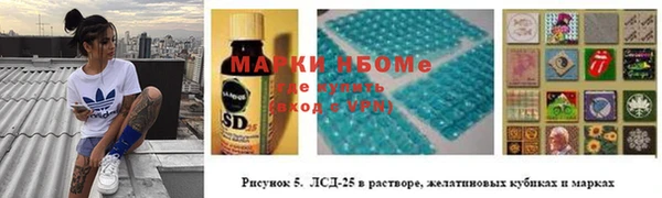 гидра Алексеевка