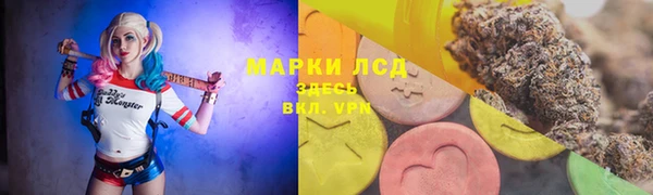 гидра Алексеевка