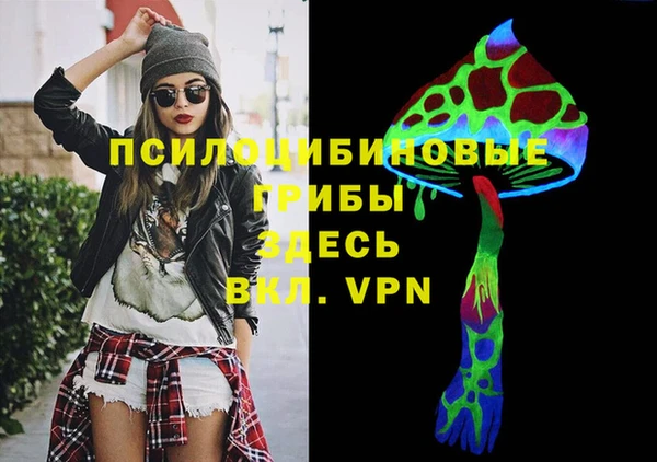 гидра Алексеевка