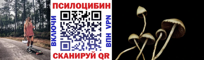 Галлюциногенные грибы ЛСД  Елец 